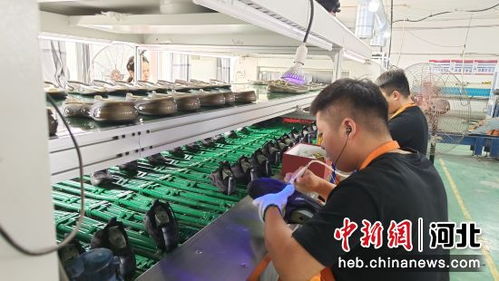 家門口的“幸福車間”——河北望都鄉(xiāng)村微工廠鋪就群眾就業(yè)新路